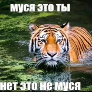 Telegram profile photo for Ящерный хвост