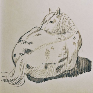 Telegram profile photo for narancione