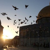 Telegram profile photo for إِفَـاقَـةُ شِفَــآء