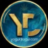 Telegram profile photo for Yoguidrogui