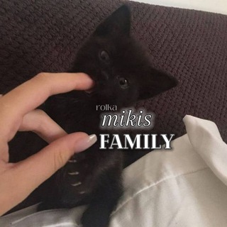 Telegram profile photo for mikis family🐈⬛