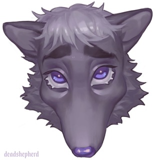 Telegram profile photo for дедшепхерд