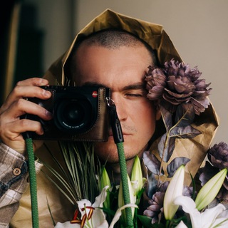 Telegram profile photo for Колесо Собаки