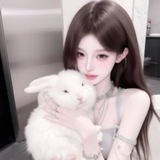 Telegram profile photo for 小雨高檔茶資訊