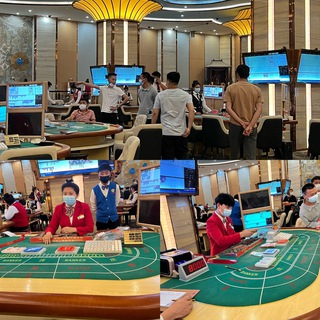 Telegram profile photo for 小律改文件