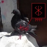 Telegram profile photo for Why?💤💤💤?
