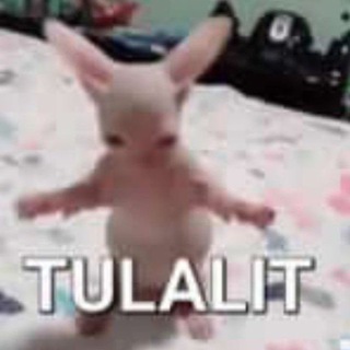 Telegram profile photo for ๐ฆ๐๐๐ง๐ฃ๐ข๐ฆ๐ง || ๐๐๐๐๐๐๐ ๐๐๐๐.