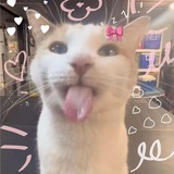 Telegram profile photo for –ᴨᴄихиᴀᴛᴩия ᴀᴋиᴩы ݁₊ ⊹.