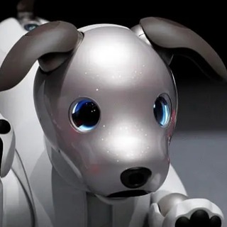 Telegram profile photo for Lgaibot