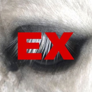 Telegram profile photo for EX tatt