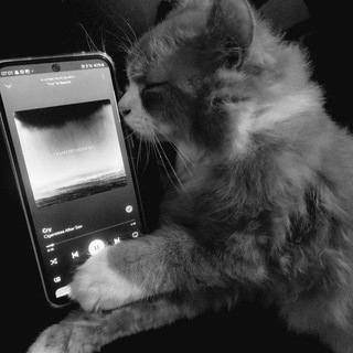 Telegram profile photo for استغفرالله