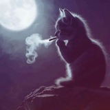 Telegram profile photo for Переходник ыыы