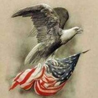 Telegram profile photo for Transam0202