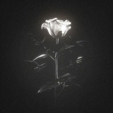 Telegram profile photo for kill me please, my dear