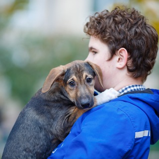 Telegram group profile photo for Зооварта ❤️ Україна 🇺🇦 Zoovarta UA