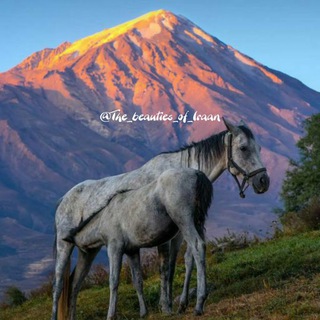 Telegram profile photo for زیباییهای ایران Iran beauties