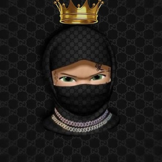 Telegram profile photo for Жизнь СУРКА🌓