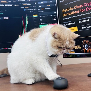 Telegram profile photo for Catizen Bybit