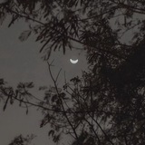 Telegram profile photo for asemoon_tweet