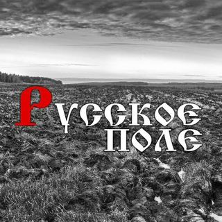 Telegram profile photo for 🕊Русское Поле🕊 - концептуальный клуб