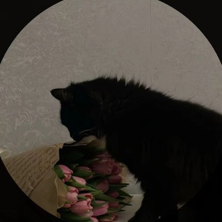Telegram profile photo for ديجور❣️ تصفيييههههه الحاظظرر يعلم الغايب