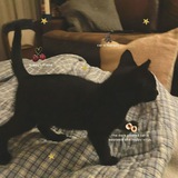 Telegram profile photo for π₯πͺπ’π³πΊ π±π³πͺπ―π€π¦π΄π΄