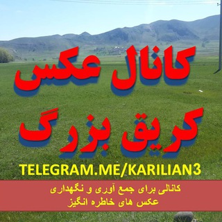 Telegram profile photo for 🎬 آلبوم کریلیان (کری بزرگ)🎬