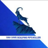 Telegram profile photo for ๐๐๐(๐๐๐) ๐๐๐๐๐๐๐๐ ๐๐๐'๐ ๐๐๐๐๐๐โข