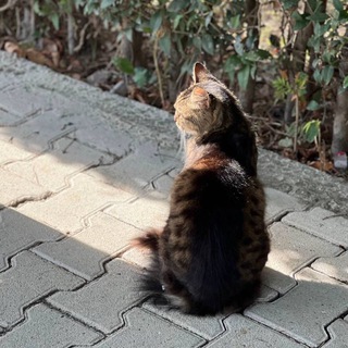 Telegram profile photo for الـيَقينْ