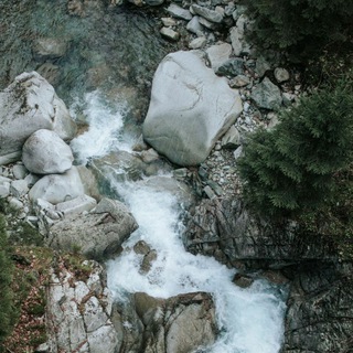 Telegram profile photo for 🌲 Oaklyndale