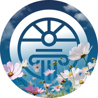 Telegram profile photo for Академия психологии и мышления | Андрея Курпатова