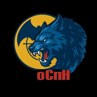 Telegram group profile photo for На Волне Спецназа Чат
