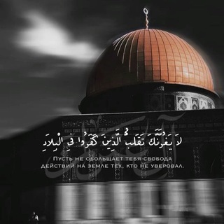 Telegram profile photo for مَقدِسيُّ الهَوىٰ ،، 🤍🌿