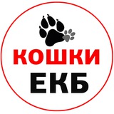 Telegram profile photo for Кошки бесплатно в добрые руки ЕКБ и СО