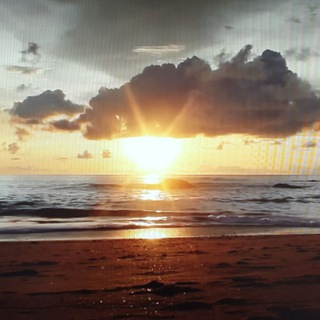 Telegram profile photo for Wir verbannen Corona aus unserem Leben, kein Fernsehen, kein Radio, keine Nachrichten mehr. Ab jetzt.