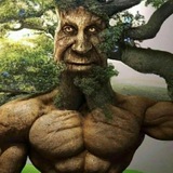 Telegram profile photo for Gang of Wise Mystic Trees 🌳 | Gang of WMT 🌳