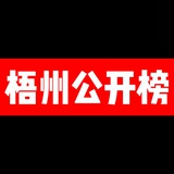 Telegram profile photo for 梧州公开榜