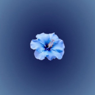 Telegram profile photo for تبلیغات مانگاتا