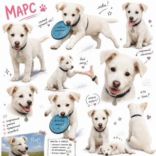 Telegram profile photo for Марсюша