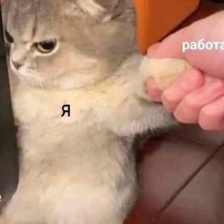 Telegram profile photo for Моя жизнь и проекты 📈