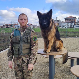 Telegram profile photo for Константин Кинолог Анапа- Новосибирск. Амуниция и дрессировка( орнитолог)