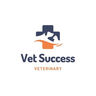 Telegram profile photo for Vet success(DVM/Veterinary)