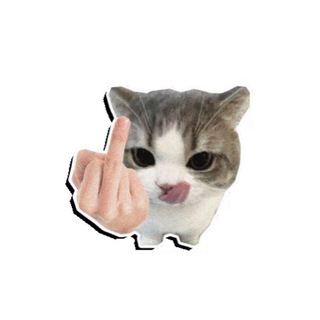 Telegram profile photo for ๐๐๐๐ฟ๐ฝ๐ผ๐พ๐ ๐๐๐๐๐