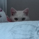Telegram profile photo for Фильтр РЦБ