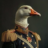 Telegram profile photo for Боевой Гусь
