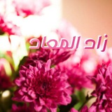 Telegram profile photo for زاد المعاد 🌸