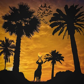 Telegram profile photo for Unseen Ethiopia