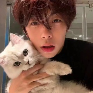 Telegram profile photo for 回忆公益频道