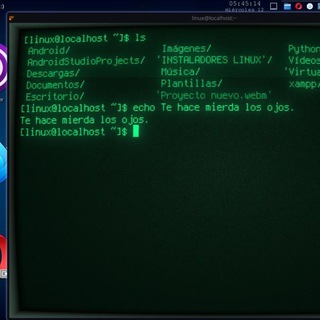 Telegram profile photo for Programación