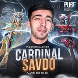 Telegram profile photo for Cardinal PUBG